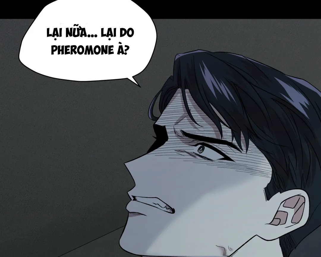 Chứng sợ Pheromone chapter 10