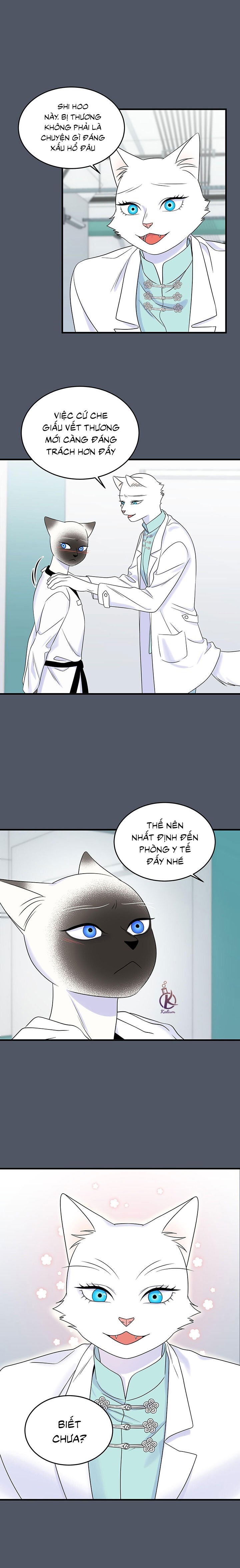 dự án xanh chapter 41 7