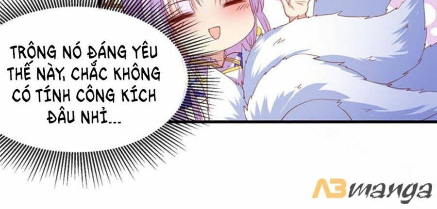 dưỡng thú vi phi chapter 63 2