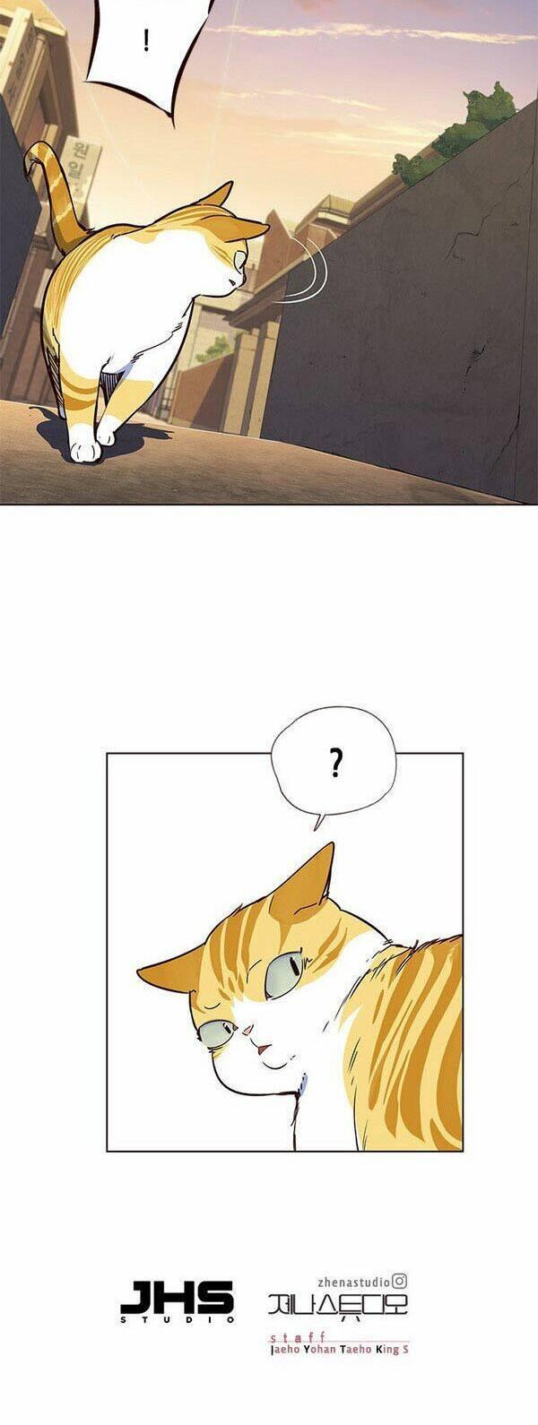 biến thân thành mèo chapter 13 54