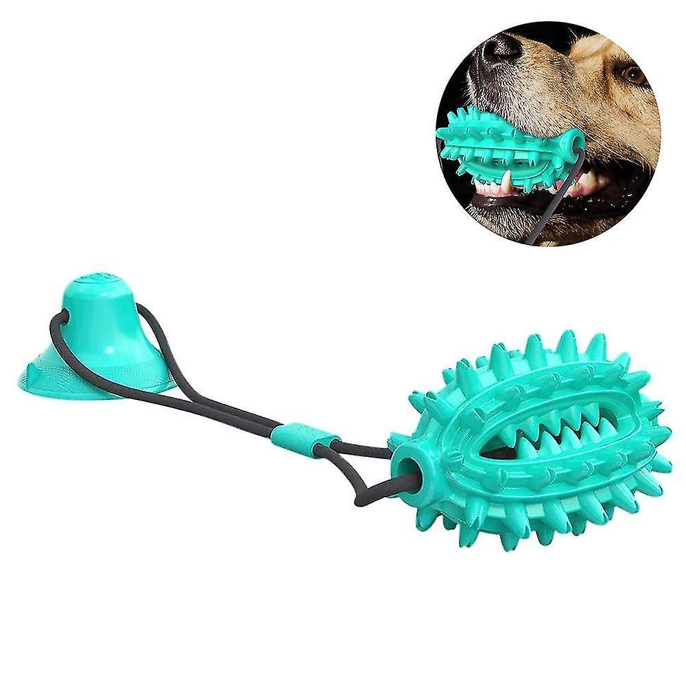 Chó nhai đồ chơi với chuông