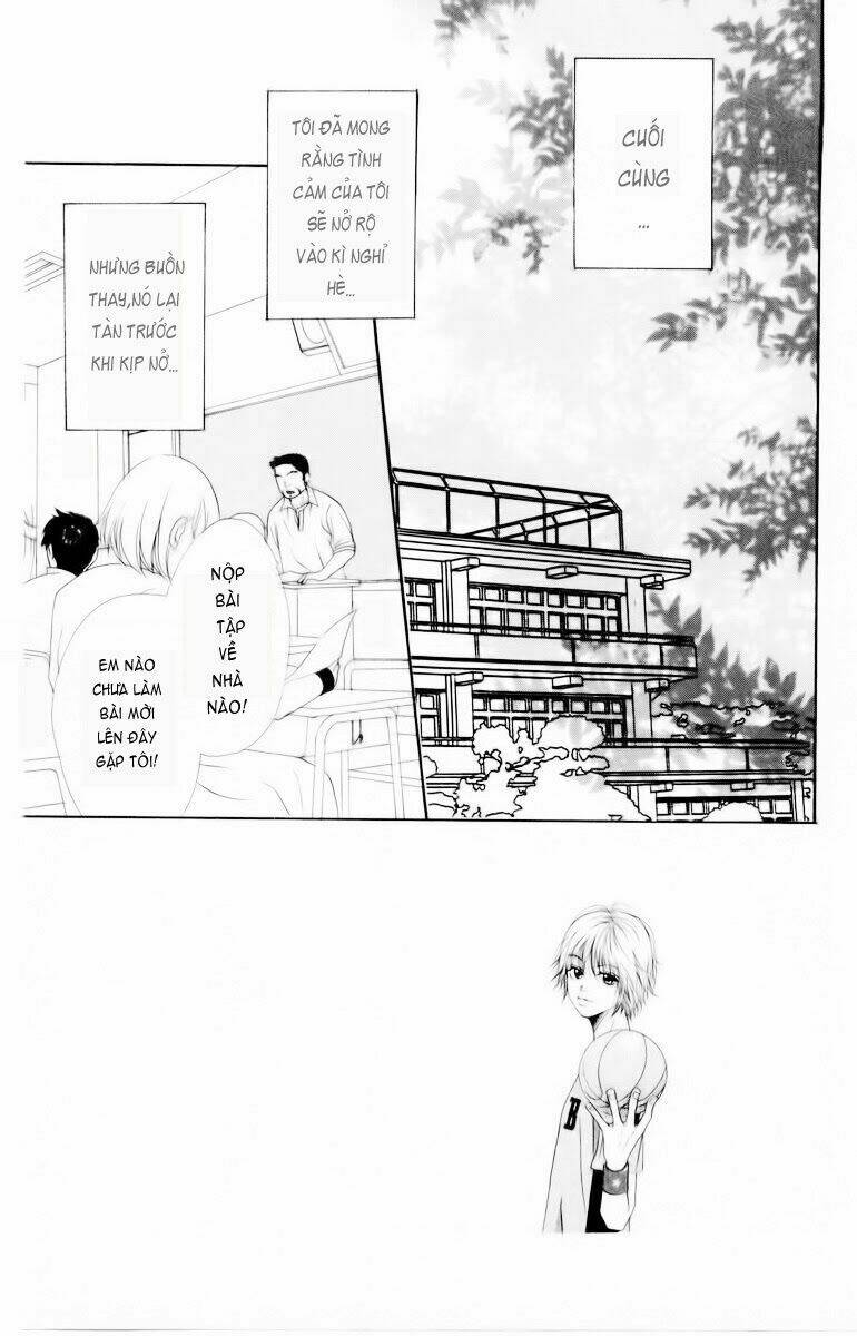 rắc rối đáng yêu chapter 3 2