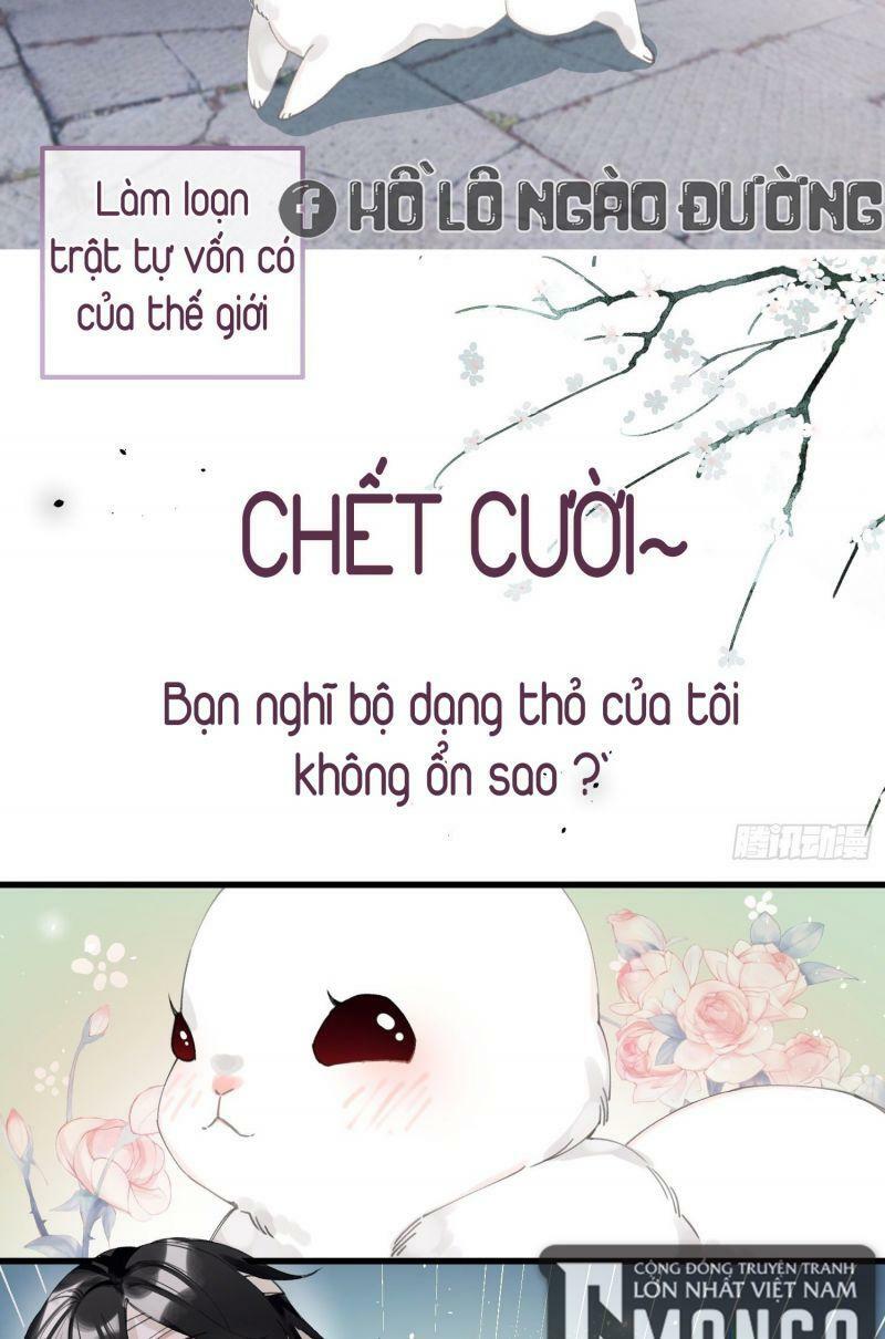 Phế Vật Công Chúa Muốn Nhặt Chồng - Trang 2