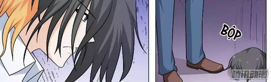 bạn trai hắc đạo của tôi chapter 255 14