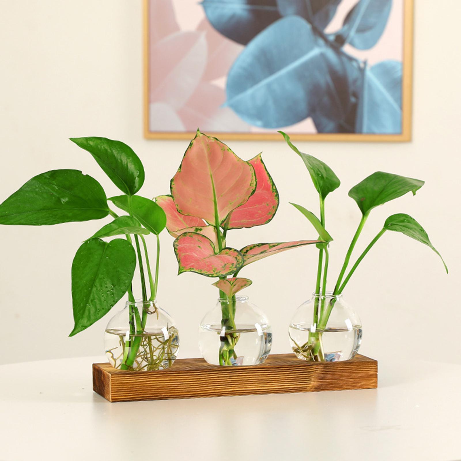 Glass Vase Transparent Bottle Propagation Terrarium for Home Cabinet Decor
