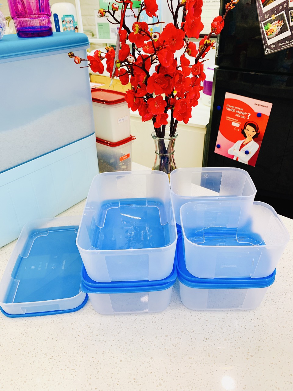 Bộ hộp trữ đông Freezermate Fit Set 7 hộp Tupperware chính hãng
