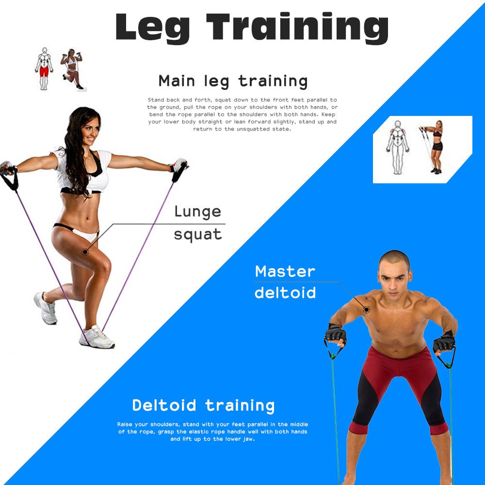 Bộ 11 dây kháng lực đàn hồi ngũ sắc tập gym bằng vật liệu TPE đàn hồi