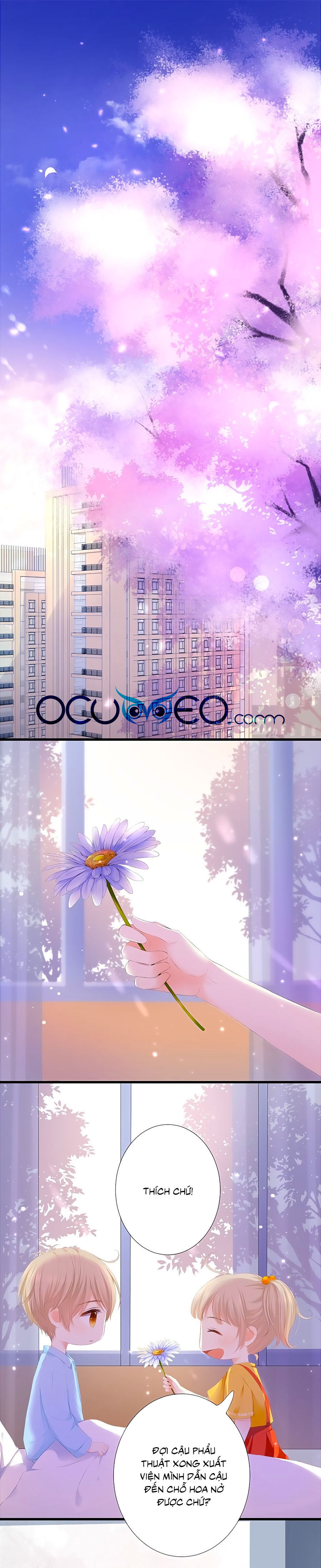 đóa hoa chớm nở chapter 39.5 2