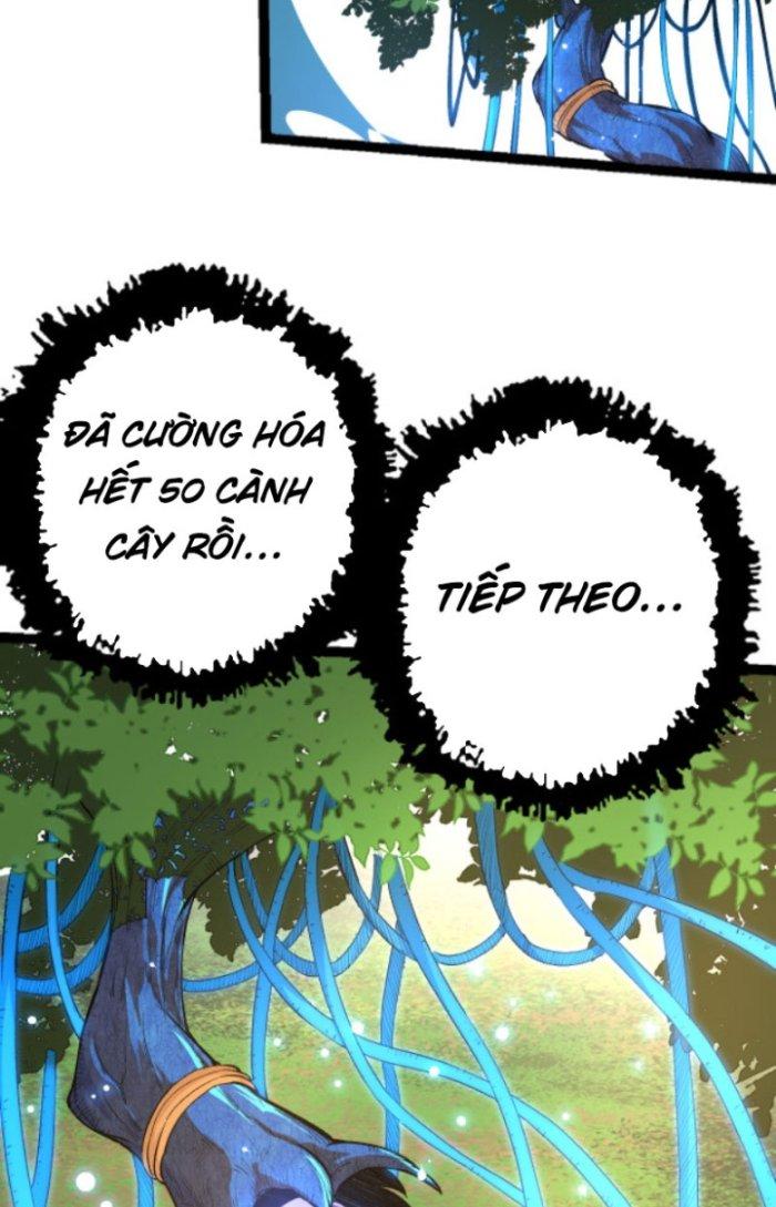 từ cây cổ thụ bắt đầu tiến hóa chapter 2 42