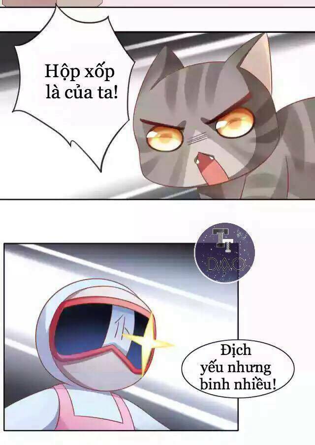 dưới móng vuốt mèo chapter 12 17