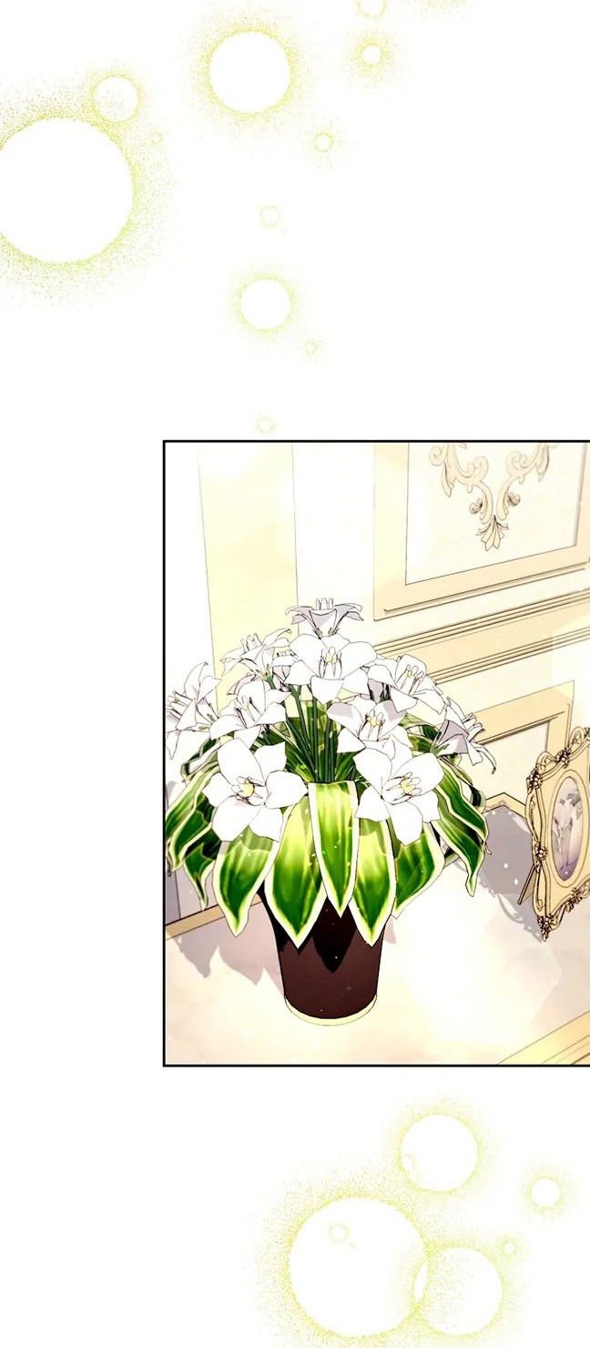 aster yêu dấu của tôi chapter 51 11