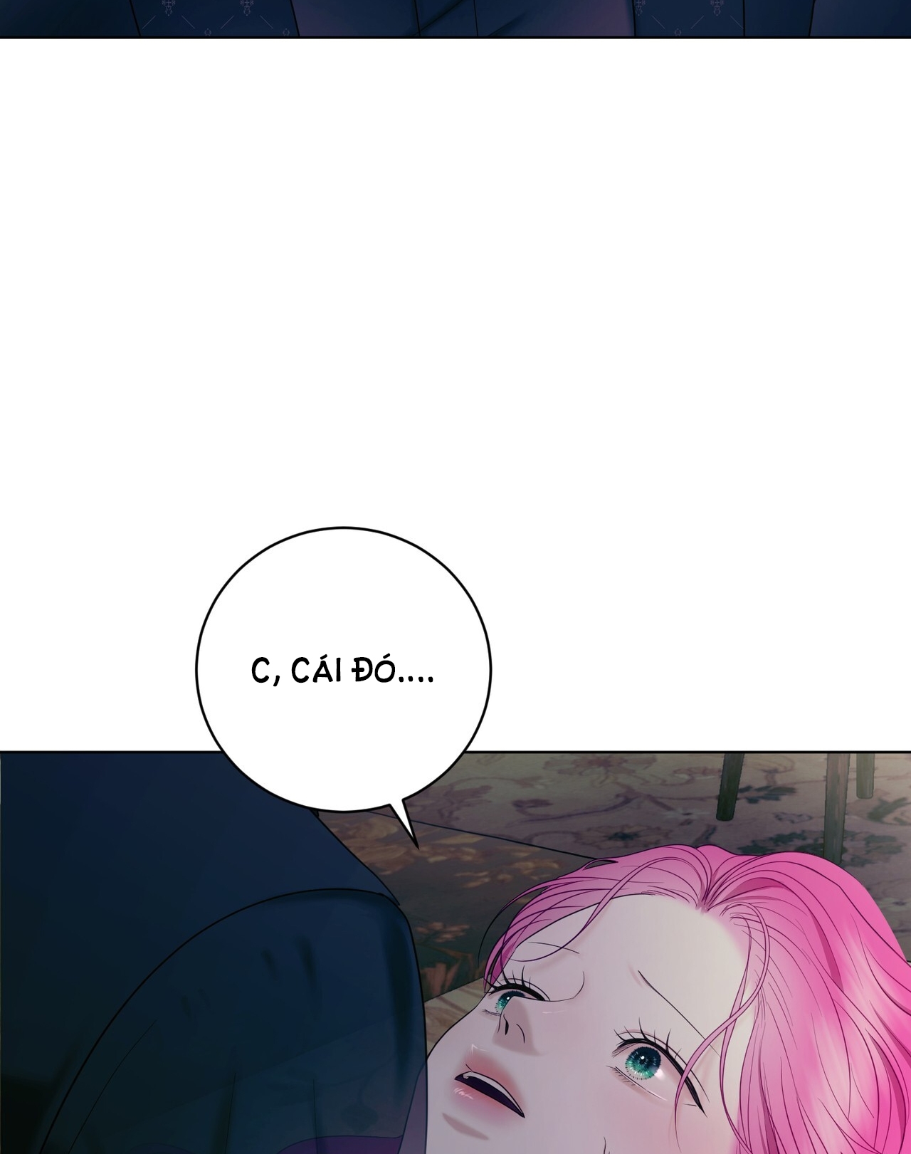 hợp đồng hôn nhân với hai người chồng chapter 11.2 28