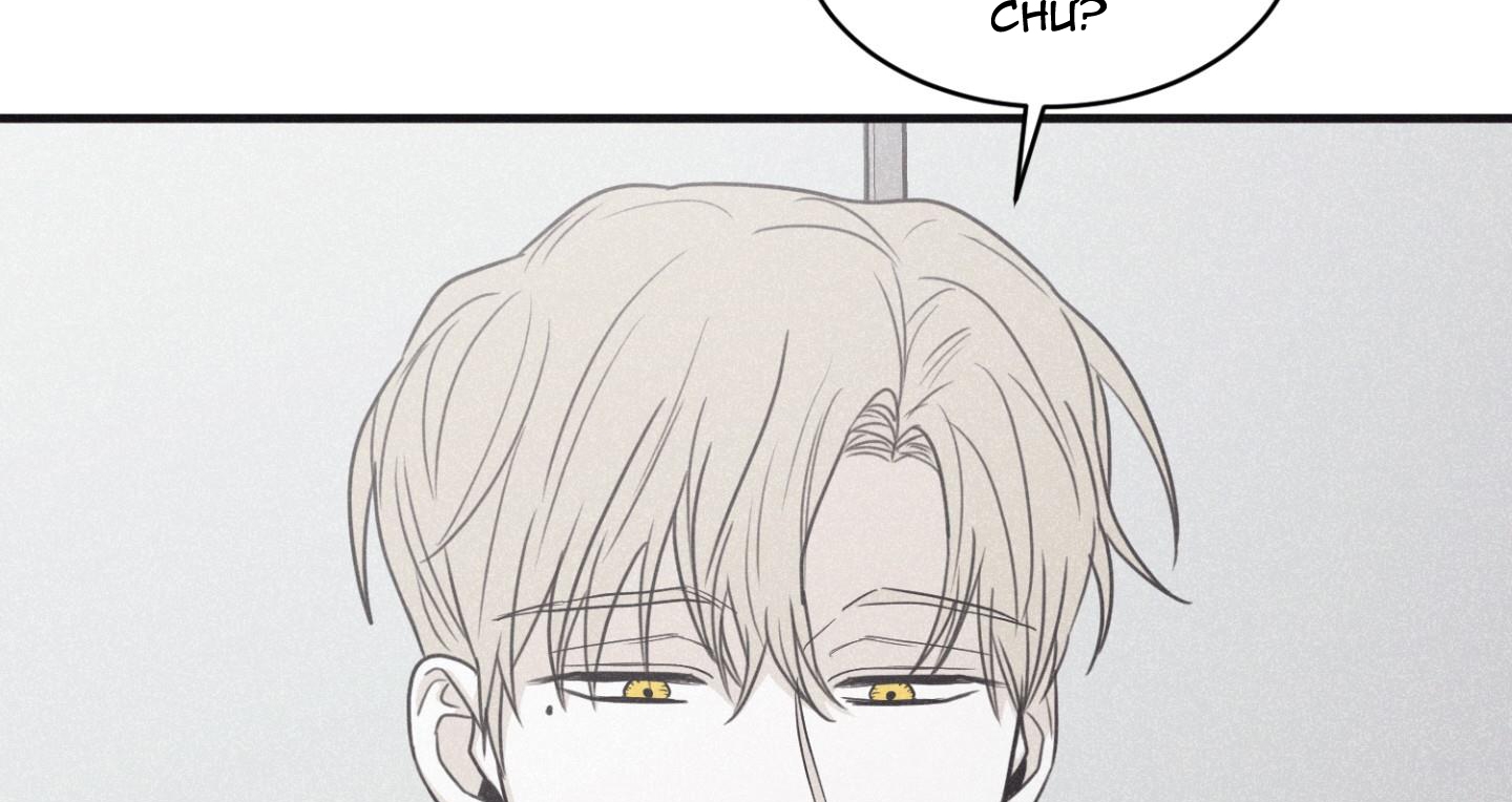 chiếu tướng chapter 80 83