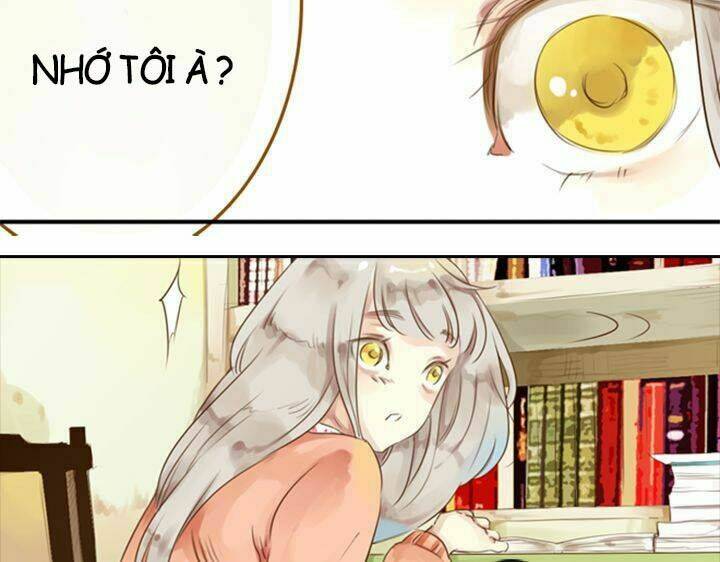 hoàng tử cải trang chú hề chapter 2 34