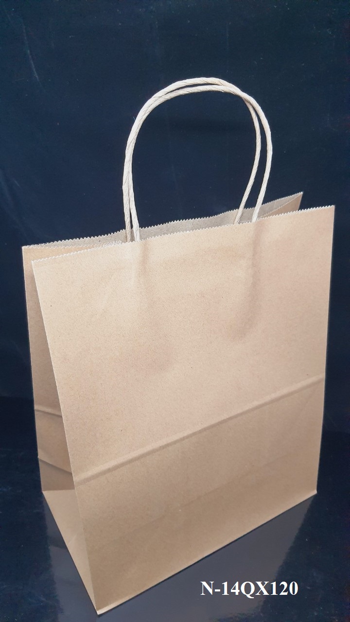 TÚI QUAI XÁCH LỚN ĐỊNH LƯỢNG 120gsm, 25x14x30cm