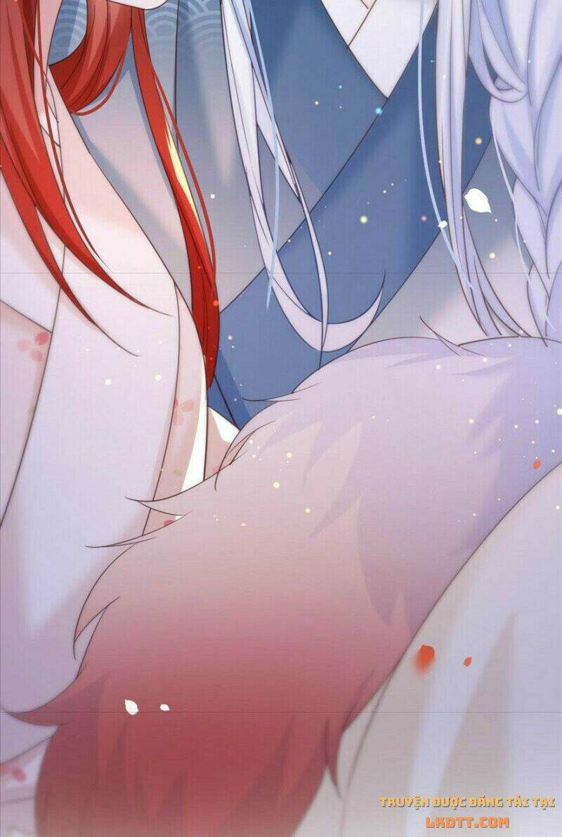 hắc hóa nam chính trực tuyến nuôi thỏ chapter 66 24