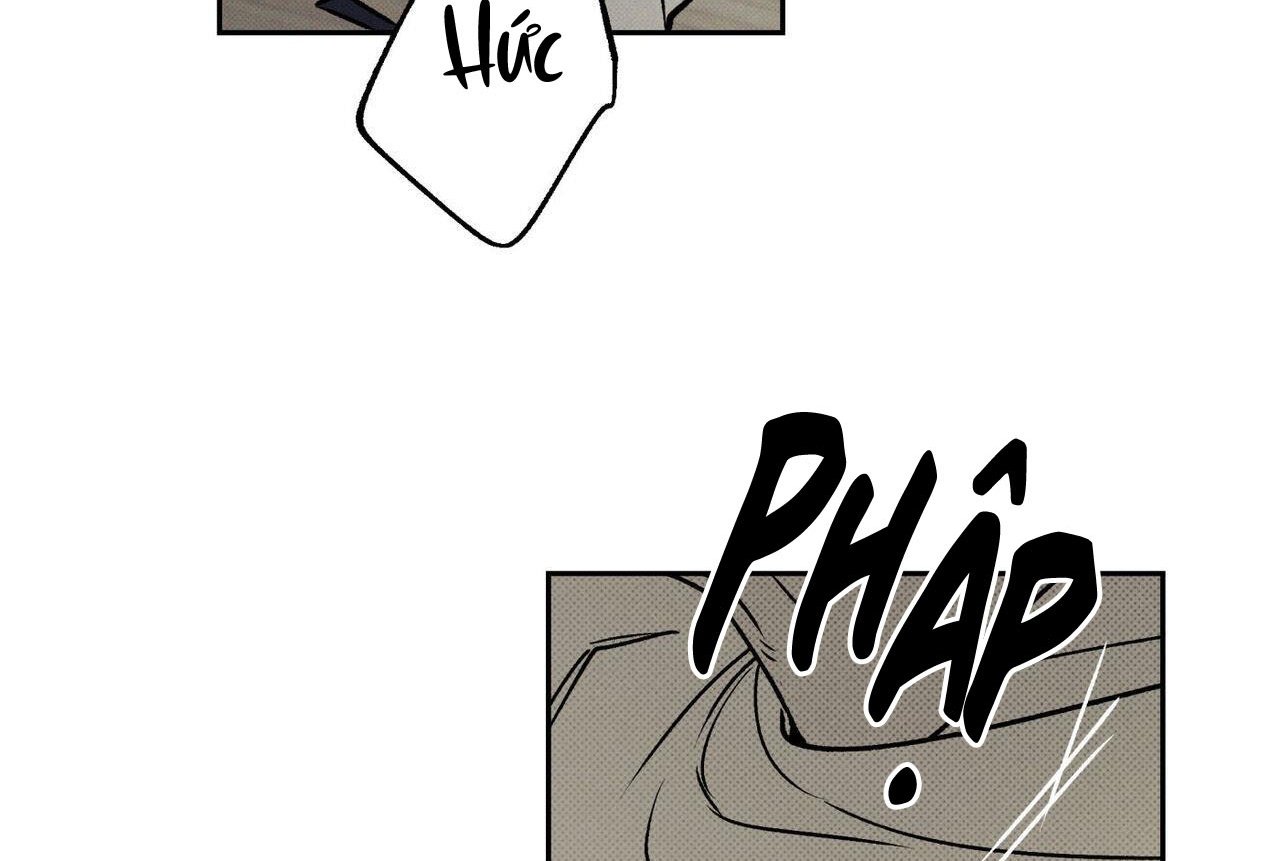 chàng giao pizza và gold palace chapter 47 6