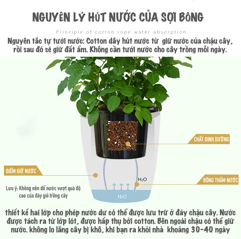 Chậu trồng cây G113. Chậu trồng cây thông minh tự dưỡng, có chức năng tự tưới nước cho cây