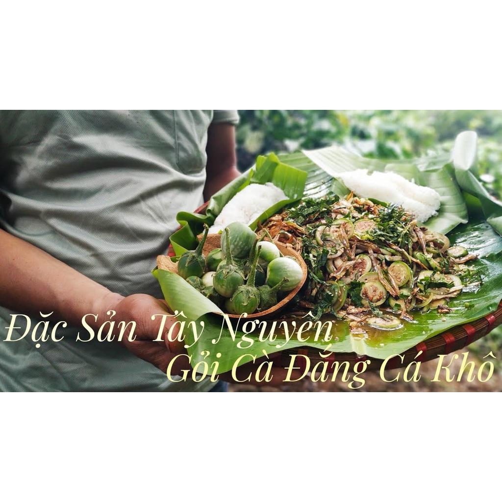 Hạt giống cà đắng Tây Nguyên CKNS365 - Gói 20 hạt