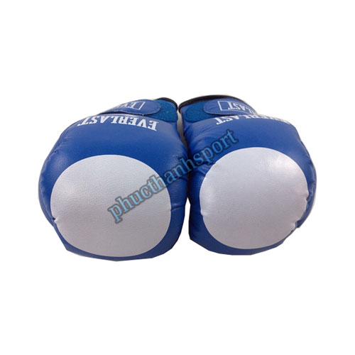 Găng đấm boxing Everlast 12oz 