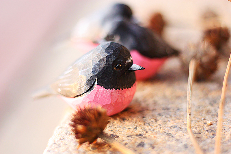 Tượng Chim Gỗ Pink Robin