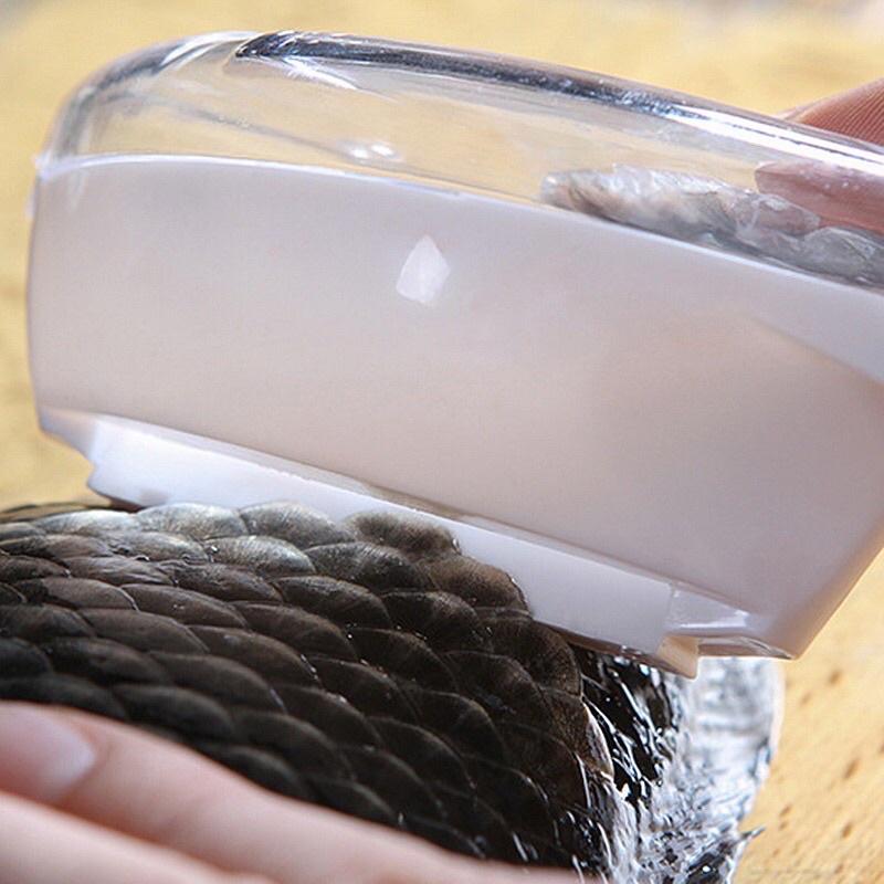 Dụng Cụ Cạo Làm Vảy Cá Dể Dàng Làm Sạch Tiện Dụng Thiết Thực Dành Cho Nhà Bếp