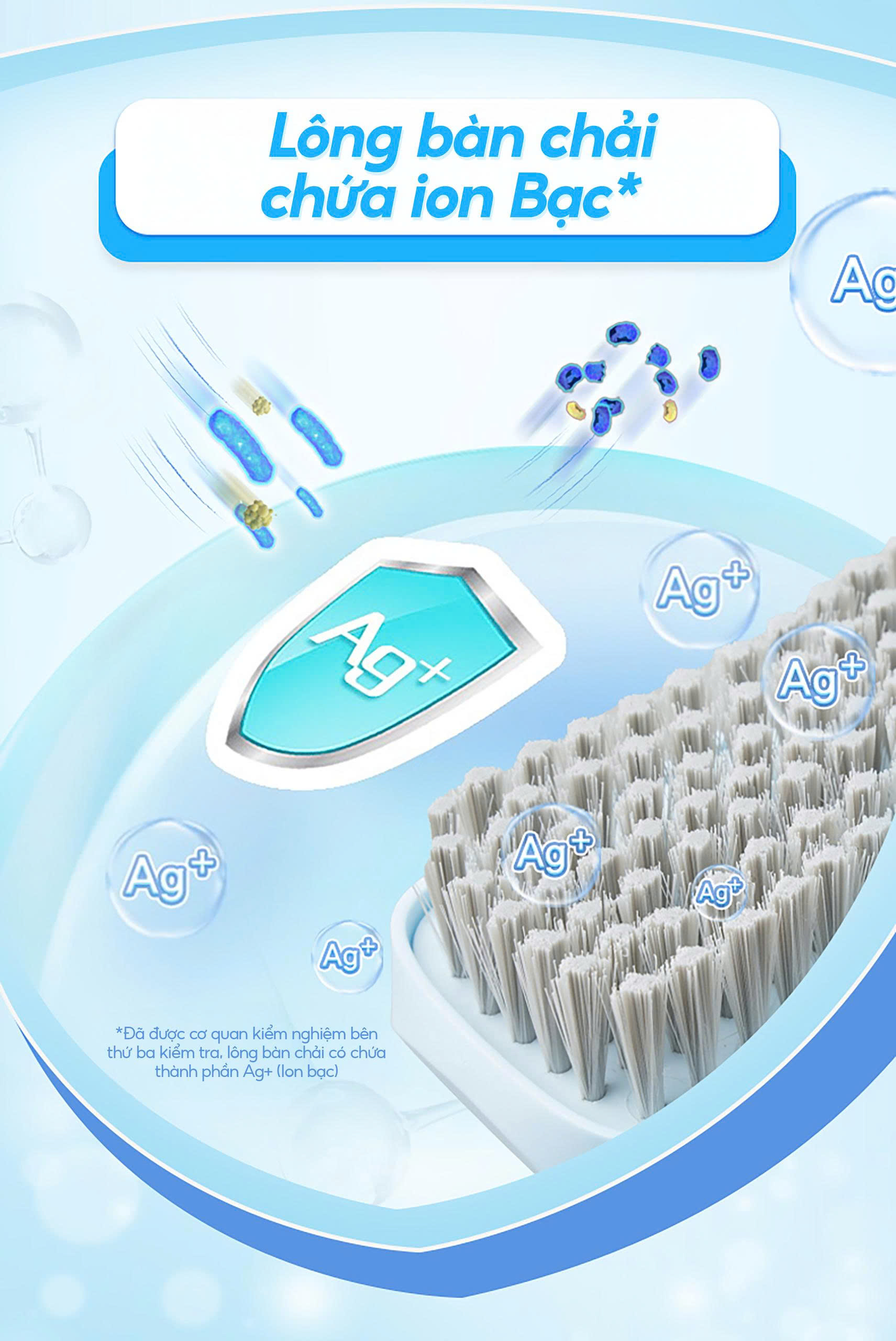 Bàn chải quần áo Ag+ Kháng khuẩn MyJae