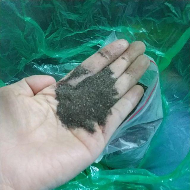Hạt Giống Cây Nhân Trần 200 hạt/gói