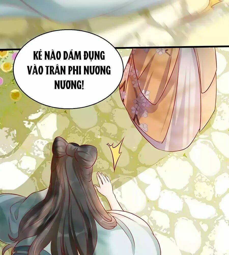 gian phi như thử đa kiều chapter 24 61