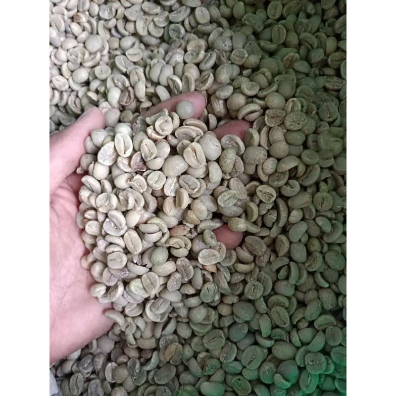 1 kg cà phê nhân robusta