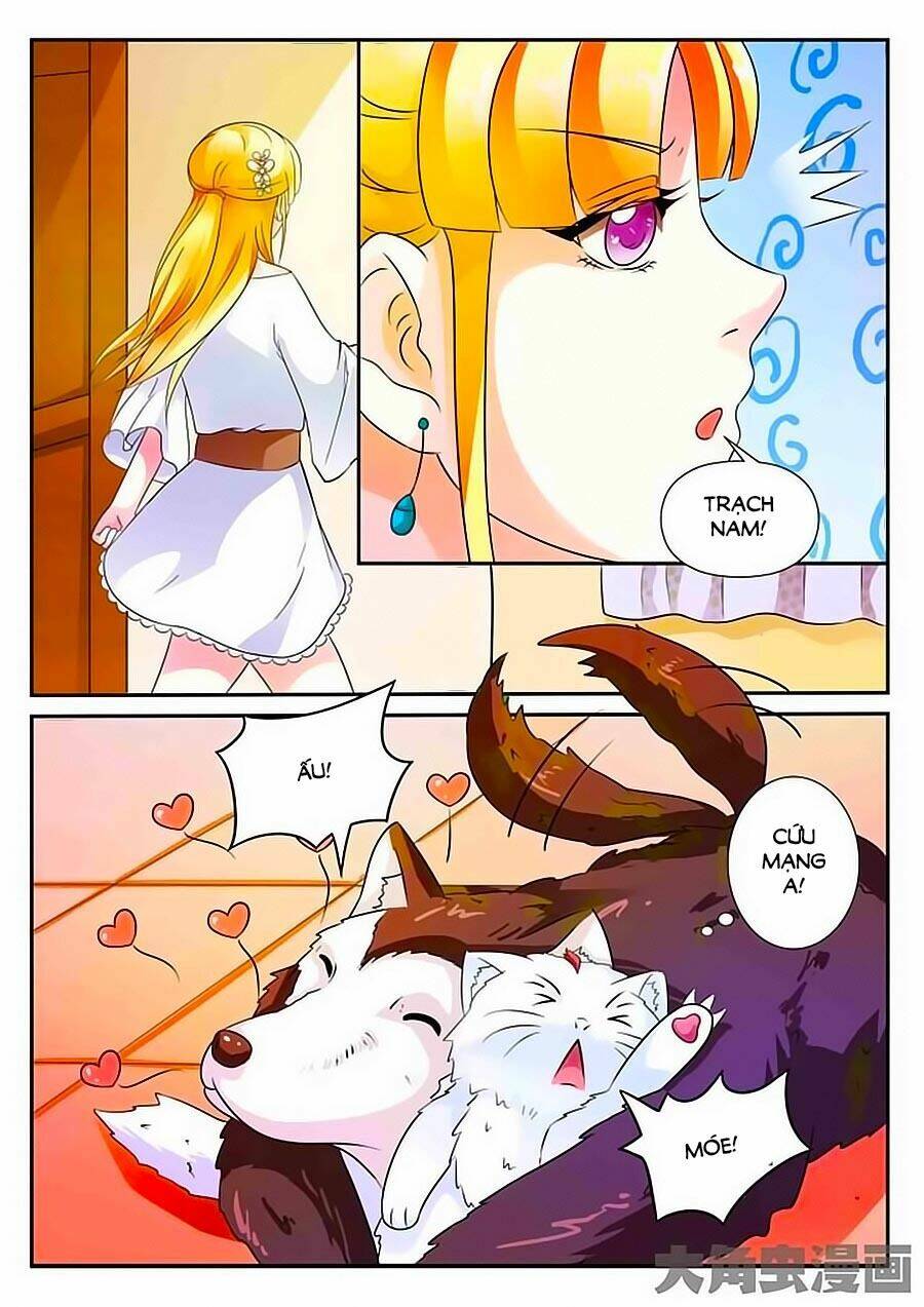 mau lấy con mèo đó ra chapter 3 2