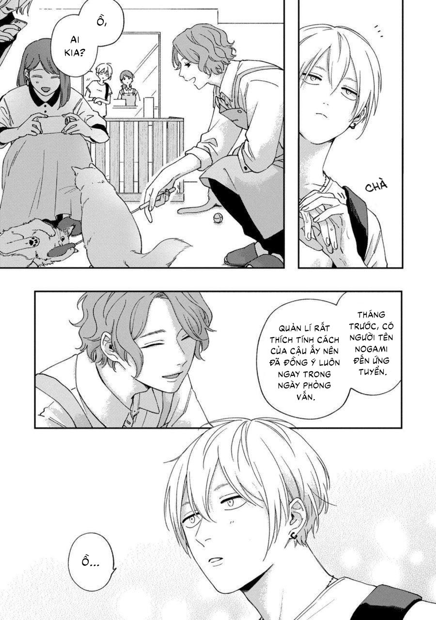 koi kirari, kage sururi chapter 1 6