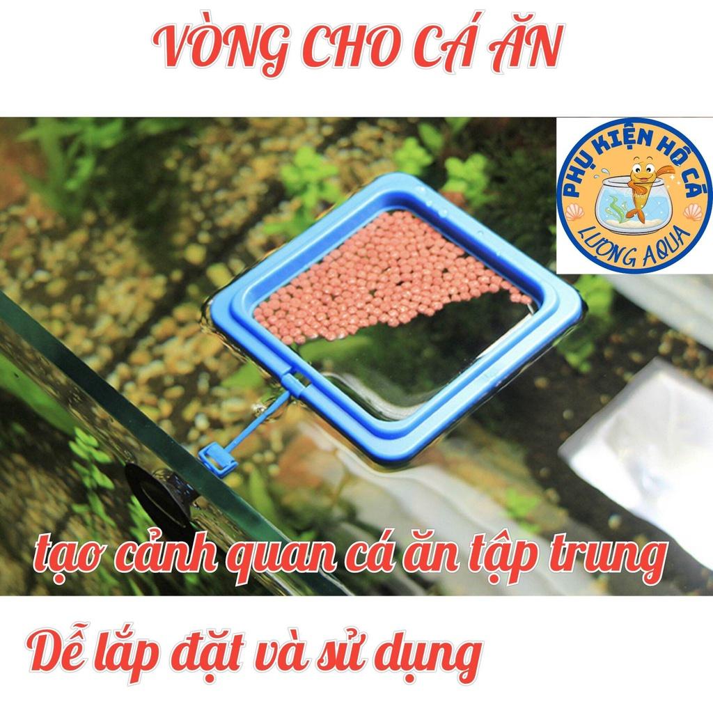 Vòng giữ thức ănVòng cho cá ăn️Phụ kiện giữ-chống tràn thức ăn cho cá phụ kiện hồ cá thủy sinh