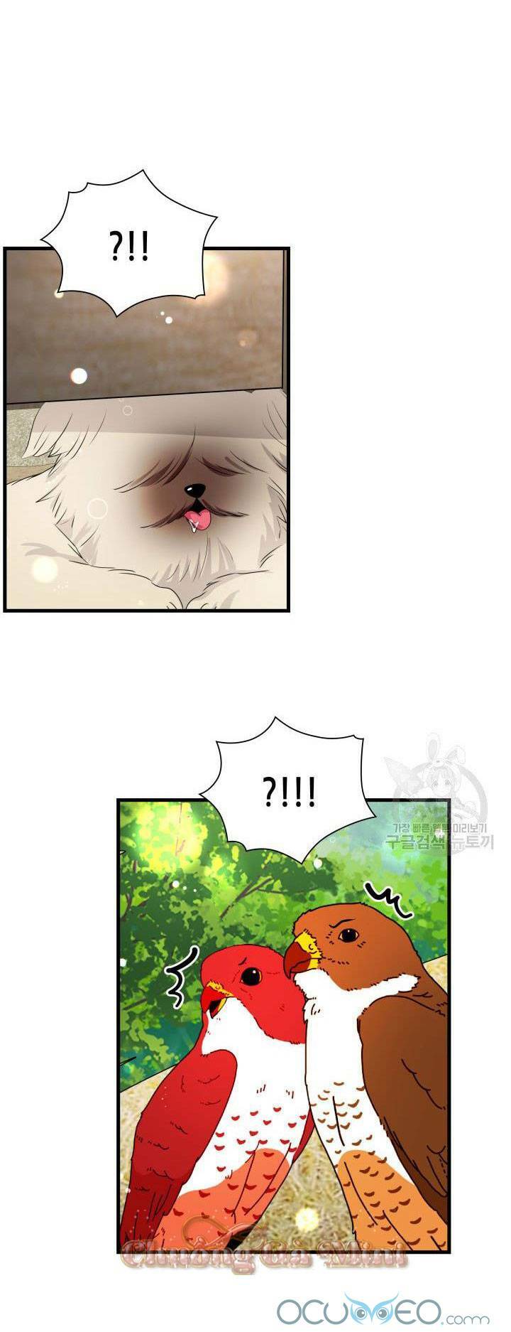 cô dâu của sói đen chapter 19 28