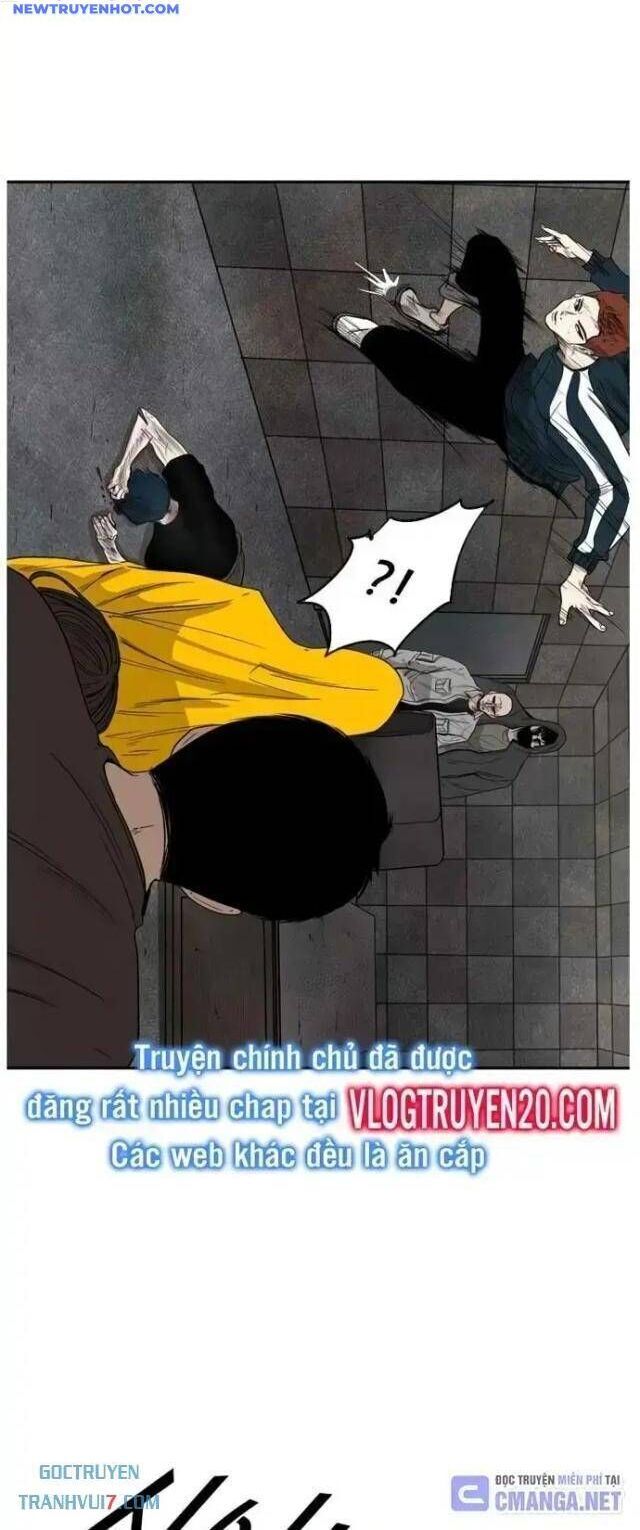 shark - cá mập chapter 88 16