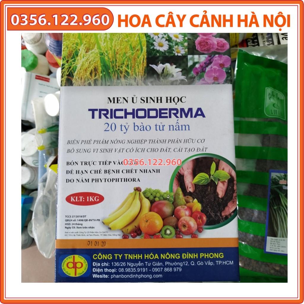Hộp 1 kg Men ủ sinh học Trichoderma 20 tỷ bào tử nấm cải tạo đất - Shop hoa cây cảnh Hà Nội