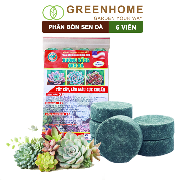 Phân bón sen đá Greenhome, dùng cho xương rồng, cây mọng nước, kích rễ, lên màu chuẩn