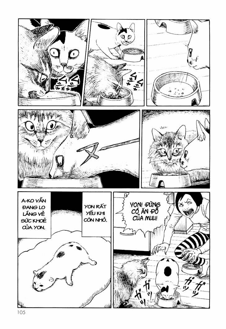 ito junji cat's diary chapter 10 5