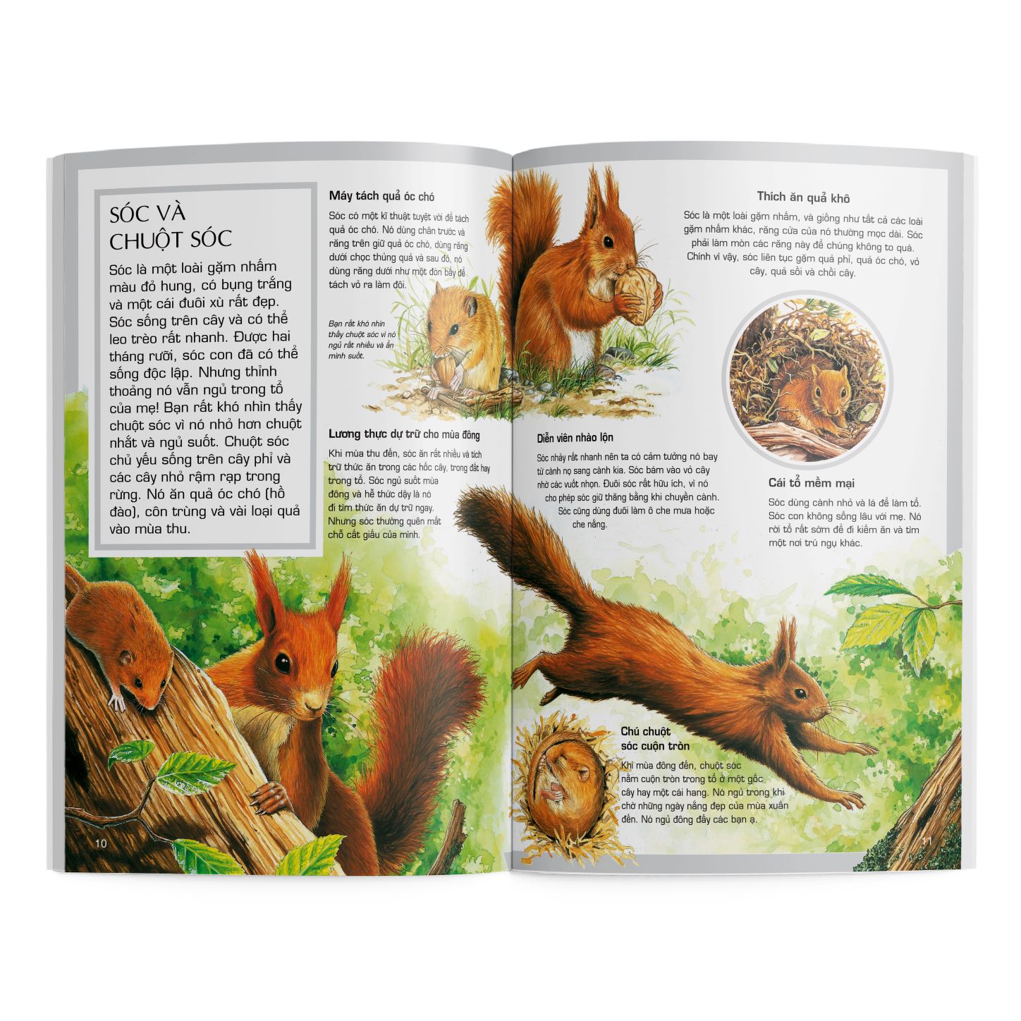Bộ Tủ Sách Thế Giới Động Vật - Bộ mới