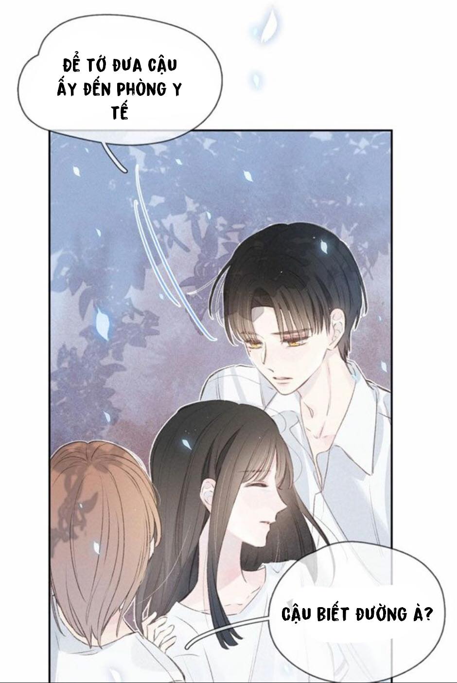 nỗi buồn của hoa cẩm tú cầu chapter 9 13