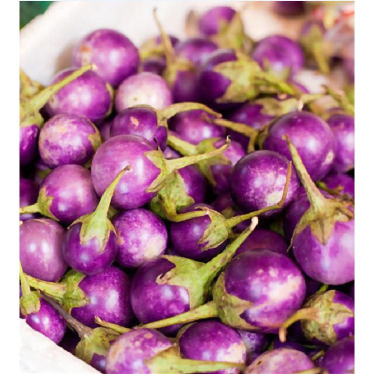 Hạt Giống Cà Pháo Tím F1 - 2 gram/gói