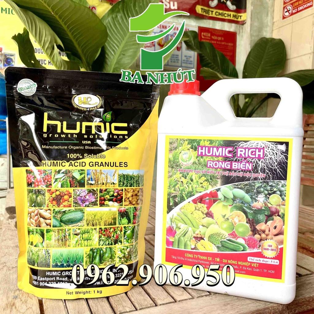 Combo HUMIC MỸ 1kg (dạng miểng) Và HUMIC RICH RONG BIỂN 5 Lít– Dưỡng Cây Khỏe, Ra Rễ Cực Nhanh, Đâm Chồi Mạnh