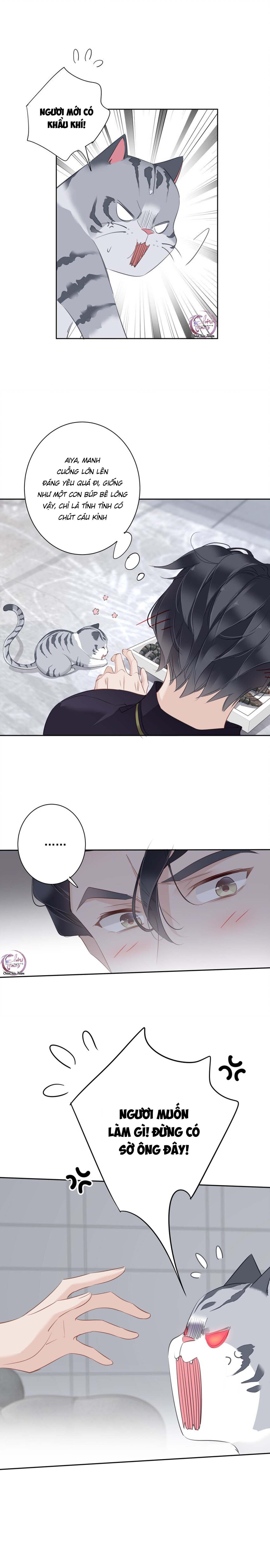 cuộc mai mối vượt giống loài chapter 54 9