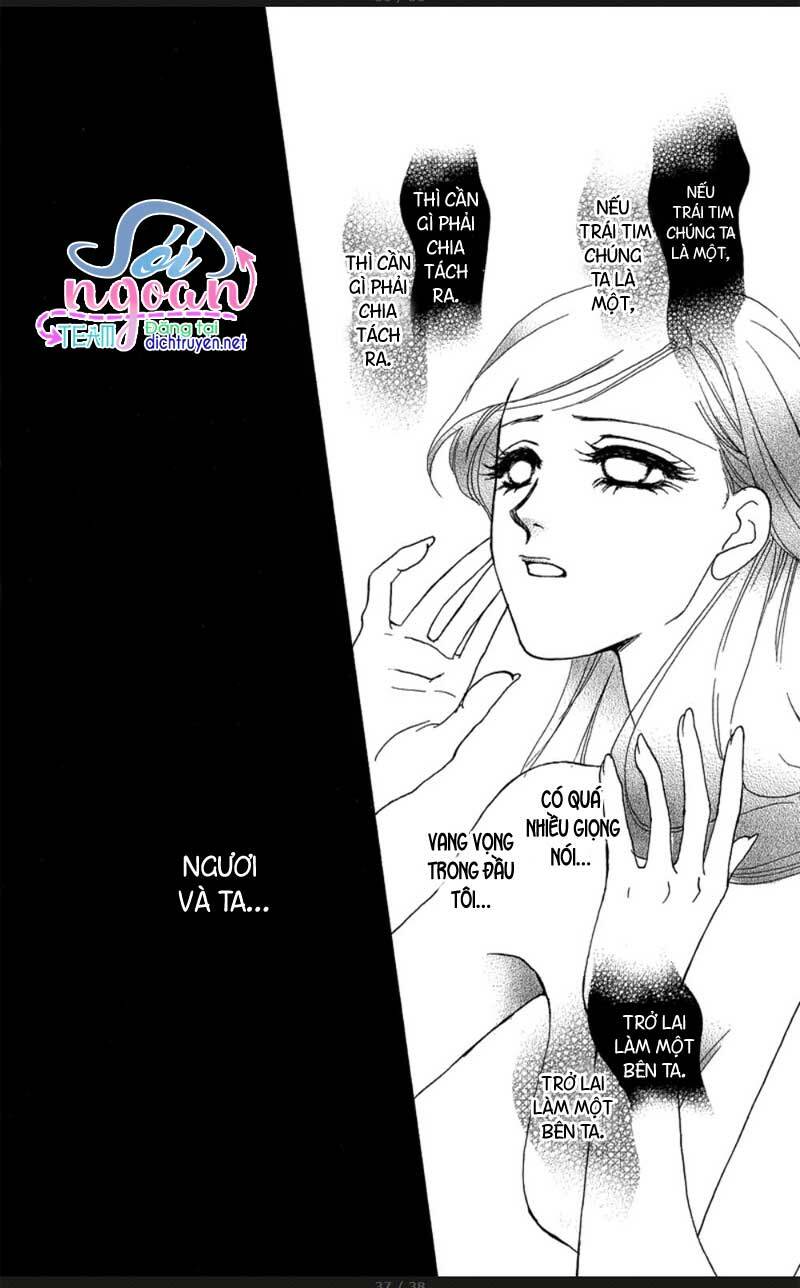 đóa hồng dành tặng seri chapter 17 34