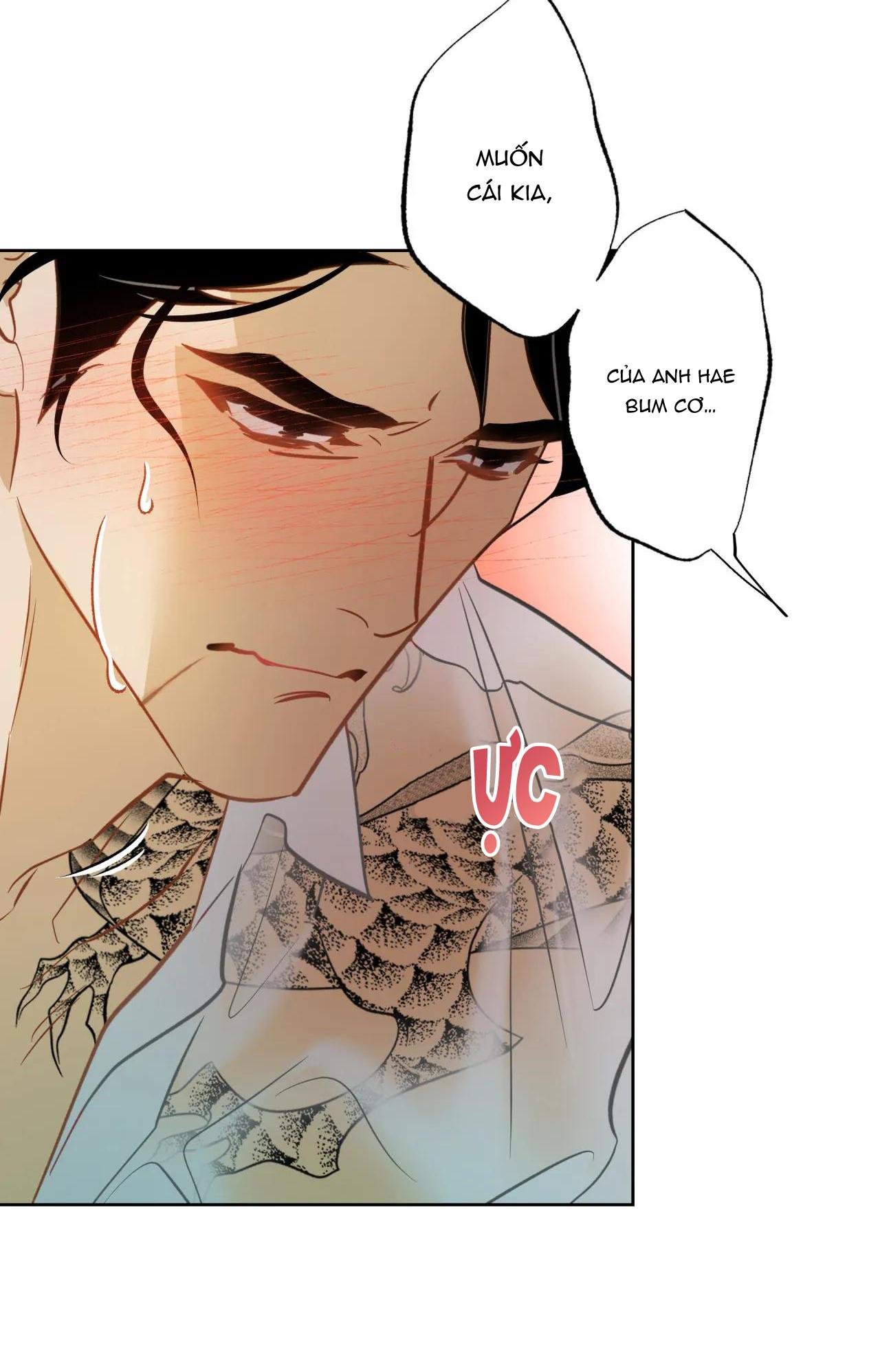 mỹ nhân ngư chapter 6 49