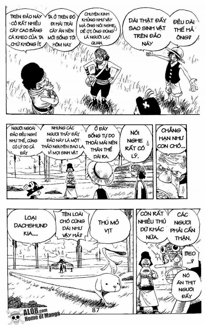 đảo hải tặc - one piece chapter 305 5