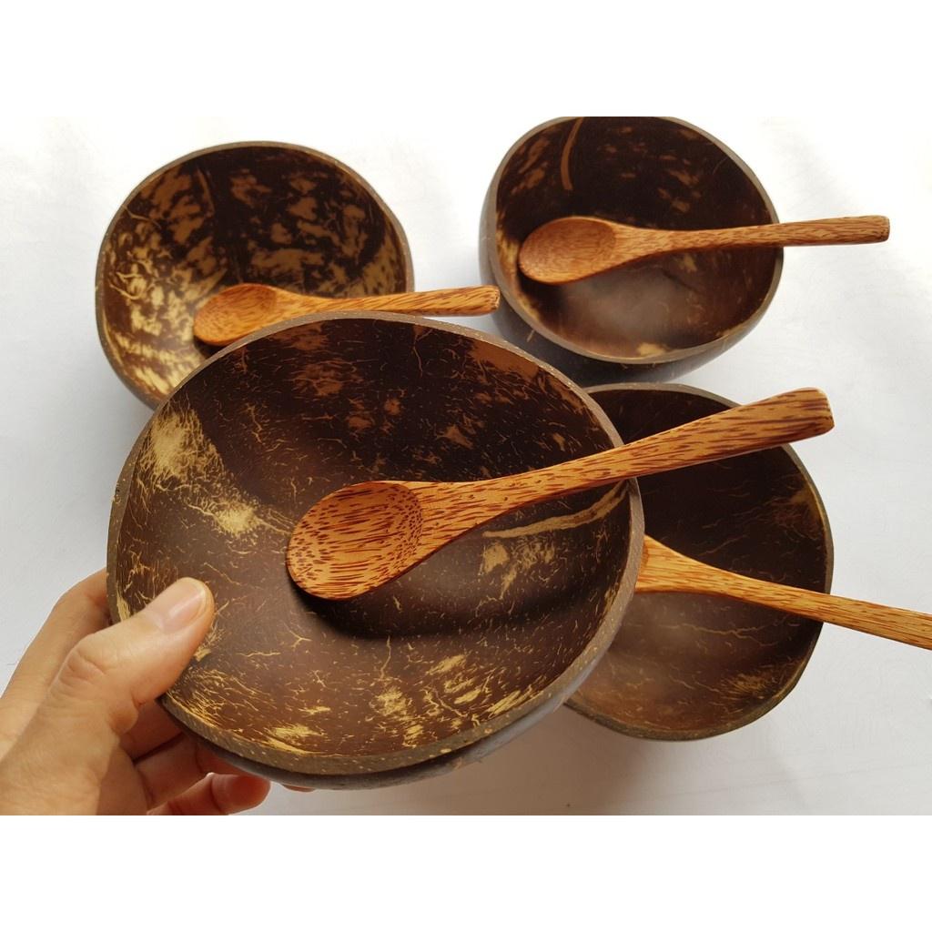 Combo Chén/ Bát gáo dừa + Muỗng gỗ dừa DK Harvest - Loại size lớn 12 - 14cm