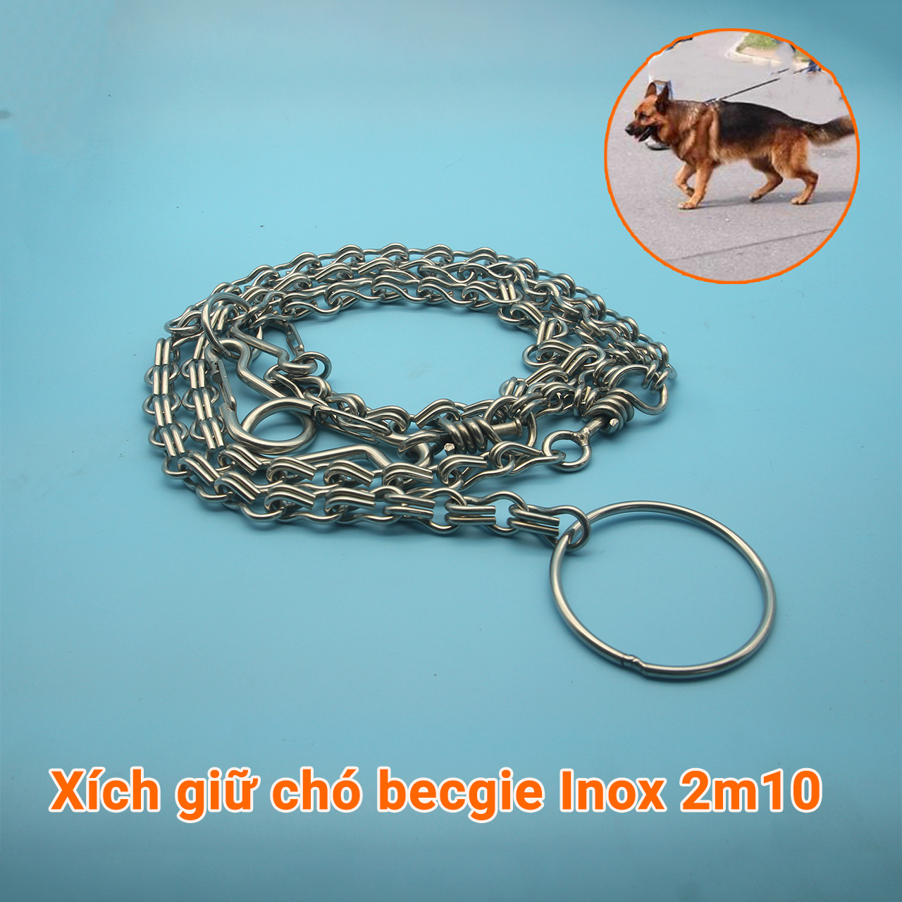 Xích giữ chó becgie Inox 2m10 chắc chắn trọng lượng 0.85kg, có thể tháo khớp thành xích ngắn