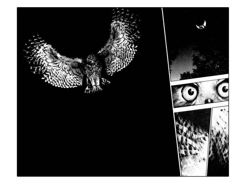 shamo (võ đạo) chapter 53 10