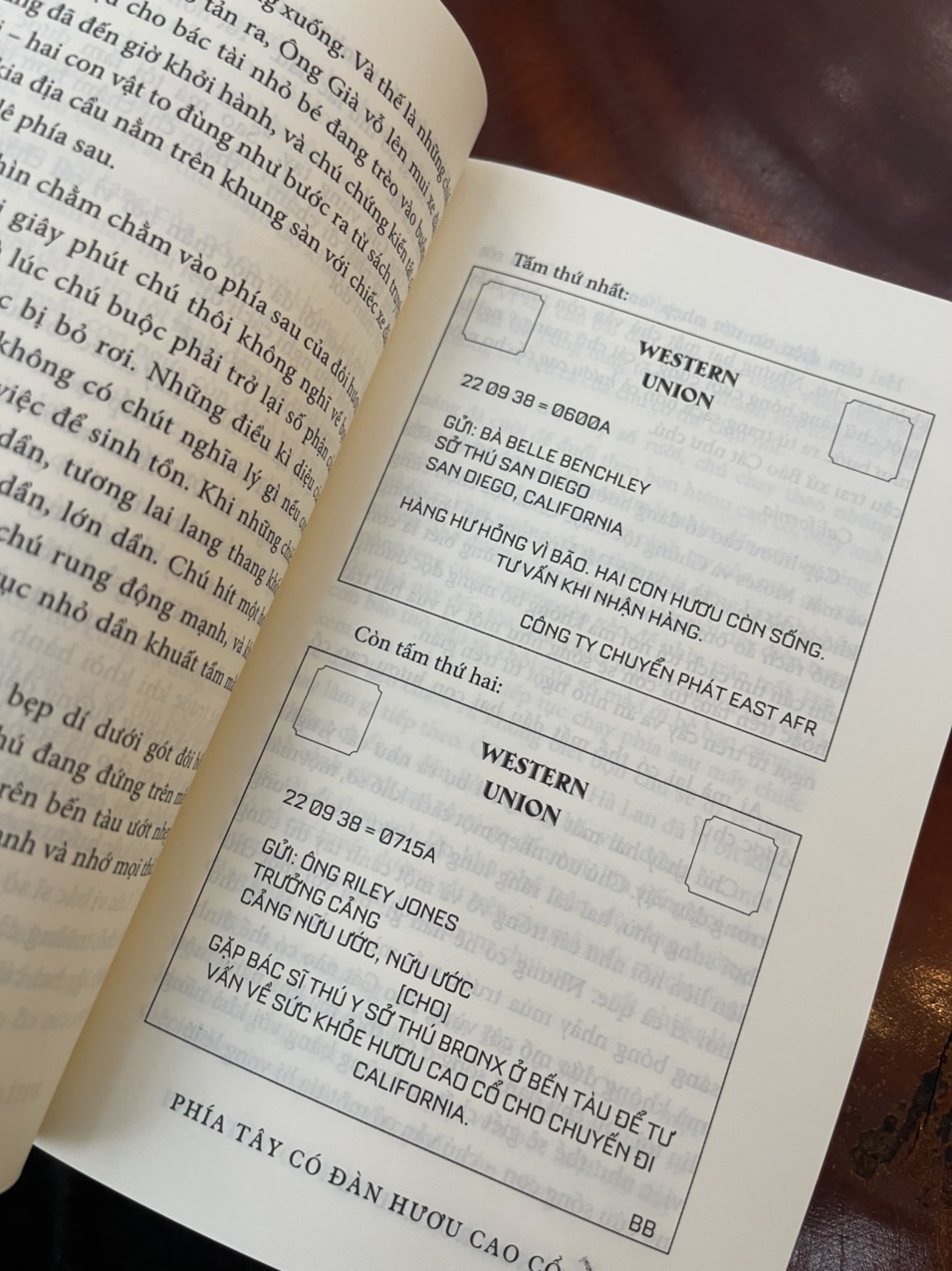 PHÍA TÂY CÓ ĐÀN HƯƠU CAO CỔ – Lynda Rutledge – Gia Bảo dịch – Huy Hoang Books